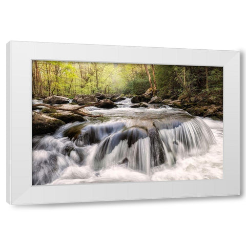 Mushroom Rock White Modern Wood Framed Art Print by Head, Danny