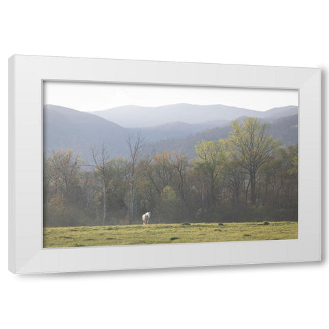 Standing Alone White Modern Wood Framed Art Print by Head, Danny