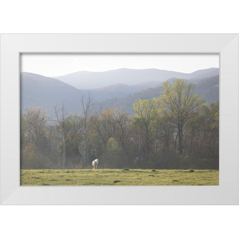 Standing Alone White Modern Wood Framed Art Print by Head, Danny