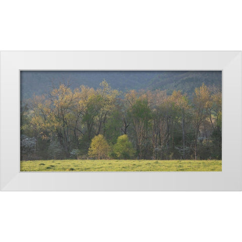 Tree Line White Modern Wood Framed Art Print by Head, Danny