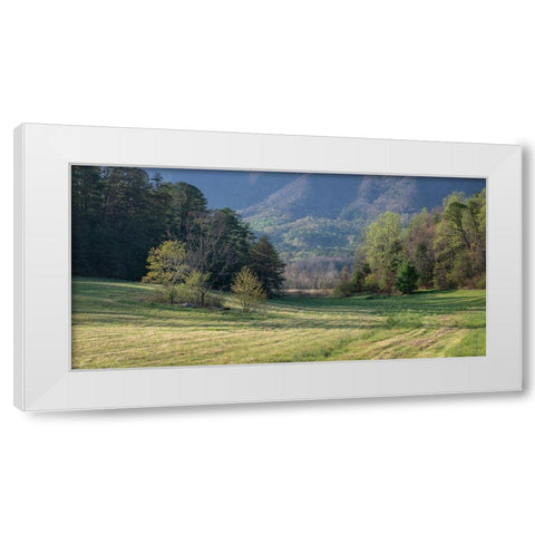 Valley View White Modern Wood Framed Art Print by Head, Danny