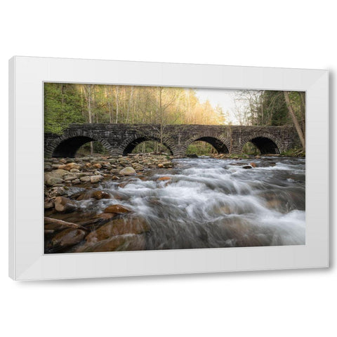 Four Arches White Modern Wood Framed Art Print by Head, Danny