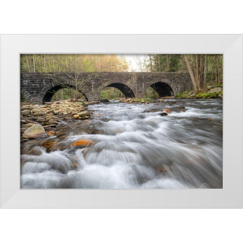 Stone Bridge White Modern Wood Framed Art Print by Head, Danny