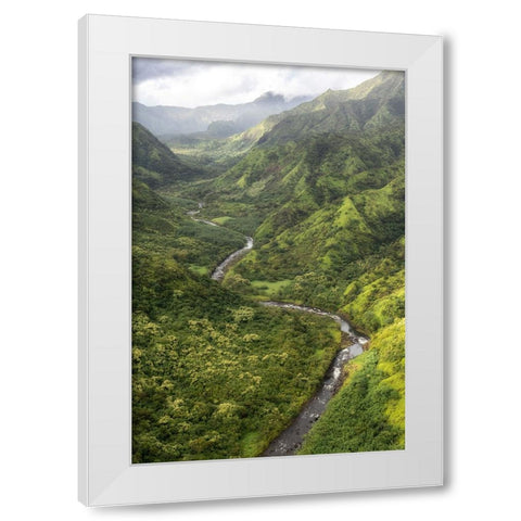 Hanalei Valley I White Modern Wood Framed Art Print by Head, Danny