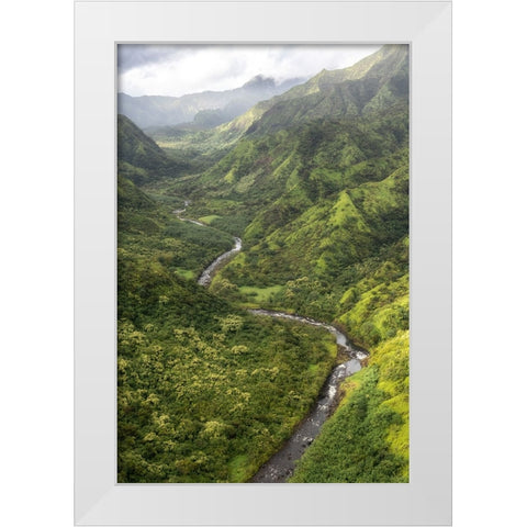 Hanalei Valley I White Modern Wood Framed Art Print by Head, Danny