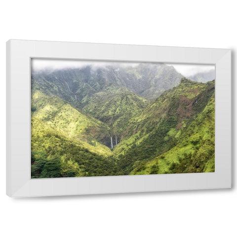 Tropical Valley White Modern Wood Framed Art Print by Head, Danny