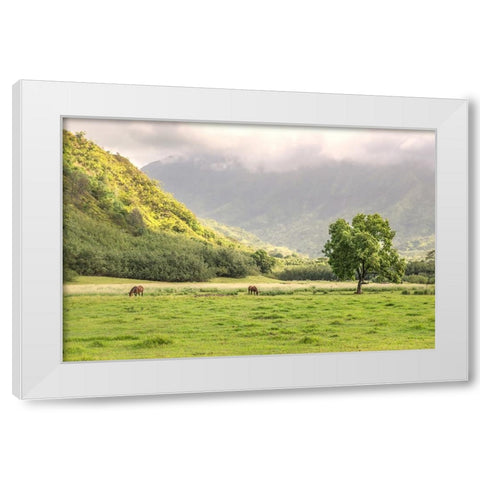 Kauai Grazing White Modern Wood Framed Art Print by Head, Danny