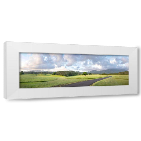 Jarassic Ranch Pano White Modern Wood Framed Art Print by Head, Danny