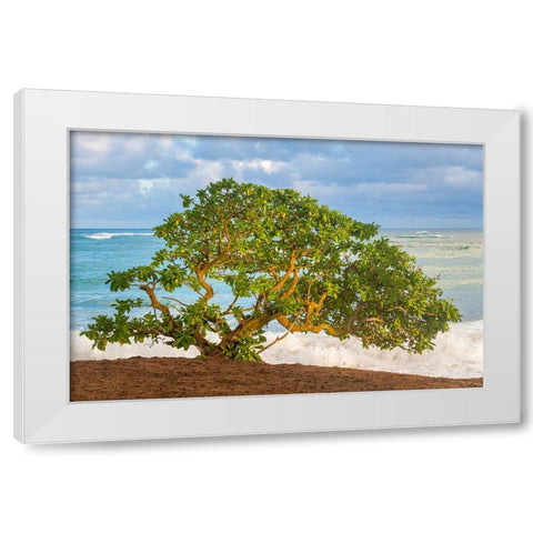 Beachside Tree White Modern Wood Framed Art Print by Head, Danny