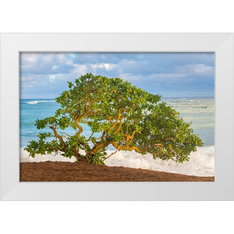 Beachside Tree White Modern Wood Framed Art Print by Head, Danny