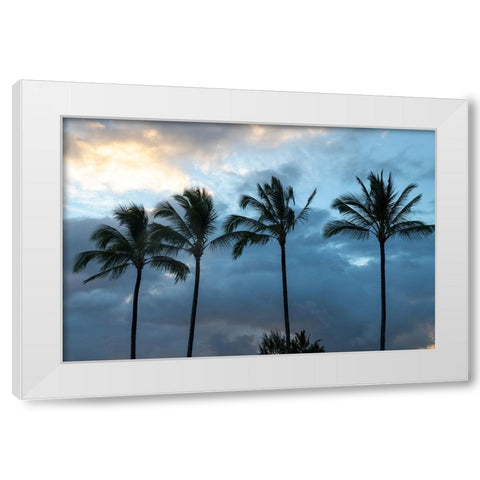 Palm Silhouette I White Modern Wood Framed Art Print by Head, Danny