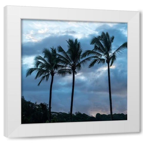 Palm Silhouette II White Modern Wood Framed Art Print by Head, Danny