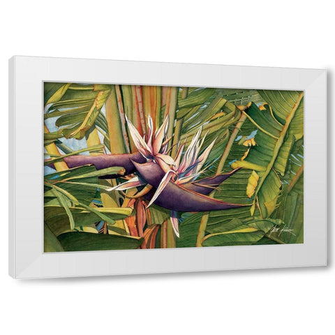 Bird Of Paradise White Modern Wood Framed Art Print by Rizzo, Gene