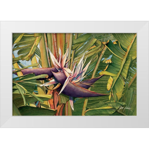 Bird Of Paradise White Modern Wood Framed Art Print by Rizzo, Gene