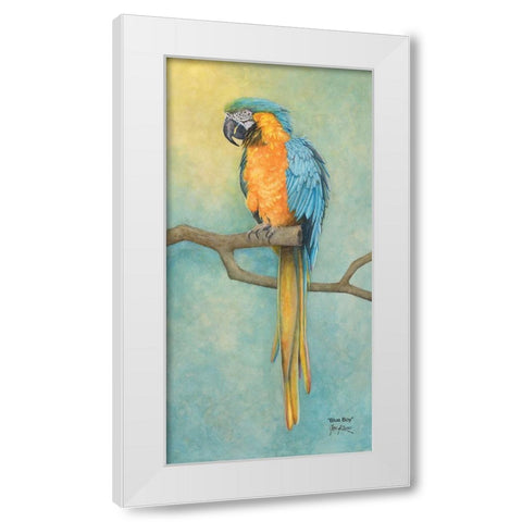 Macaw- Blue Boy White Modern Wood Framed Art Print by Rizzo, Gene