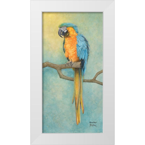 Macaw- Blue Boy White Modern Wood Framed Art Print by Rizzo, Gene