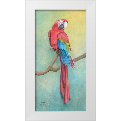 Macaw-Scarlet White Modern Wood Framed Art Print by Rizzo, Gene