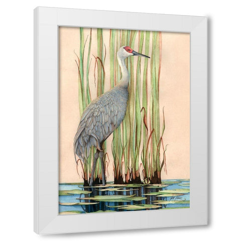 Sandhill Crane White Modern Wood Framed Art Print by Rizzo, Gene