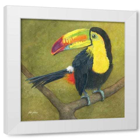 Toucan White Modern Wood Framed Art Print by Rizzo, Gene