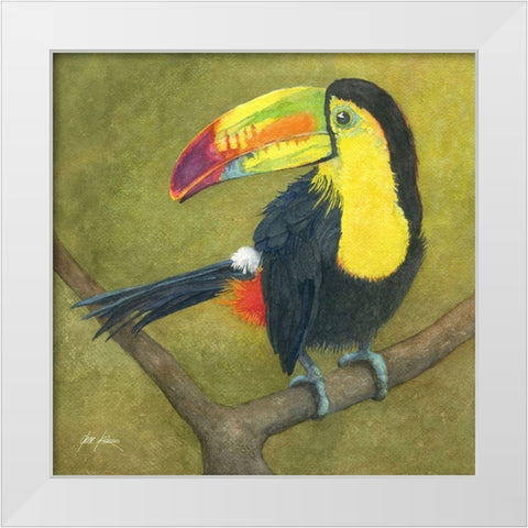 Toucan White Modern Wood Framed Art Print by Rizzo, Gene