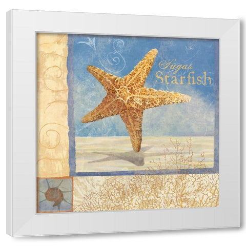 Ocean Beauties IV White Modern Wood Framed Art Print by Art Licensing Studio