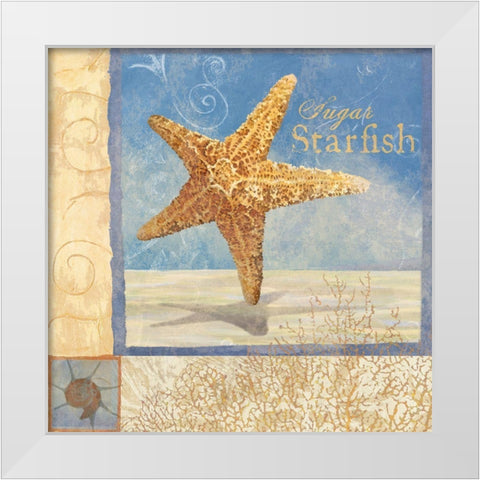 Ocean Beauties IV White Modern Wood Framed Art Print by Art Licensing Studio