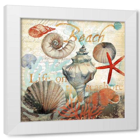 Shell Collector1 White Modern Wood Framed Art Print by Art Licensing Studio