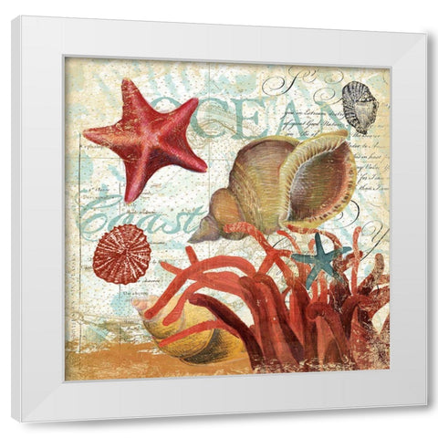 Shell Collector 1I White Modern Wood Framed Art Print by Art Licensing Studio