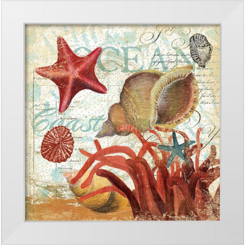 Shell Collector 1I White Modern Wood Framed Art Print by Art Licensing Studio