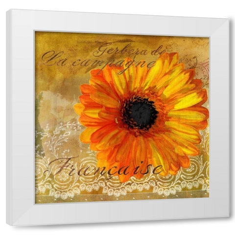 Gerbera Francaise White Modern Wood Framed Art Print by Art Licensing Studio