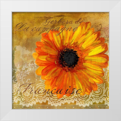 Gerbera Francaise White Modern Wood Framed Art Print by Art Licensing Studio