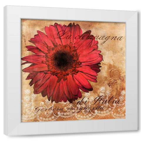 Gerbera Italia White Modern Wood Framed Art Print by Art Licensing Studio