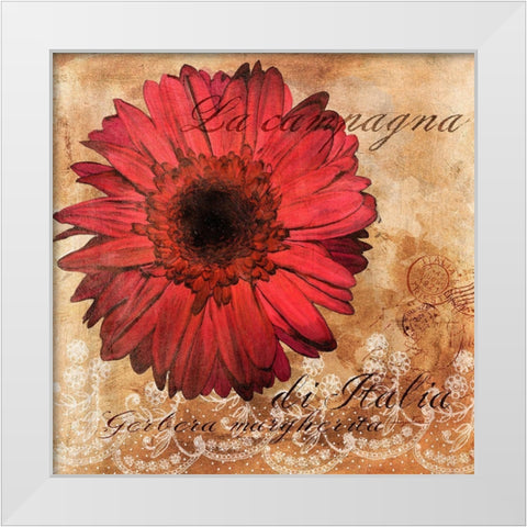 Gerbera Italia White Modern Wood Framed Art Print by Art Licensing Studio