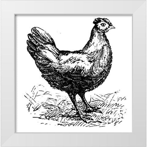 Chicken Scratch White Modern Wood Framed Art Print by Art Licensing Studio