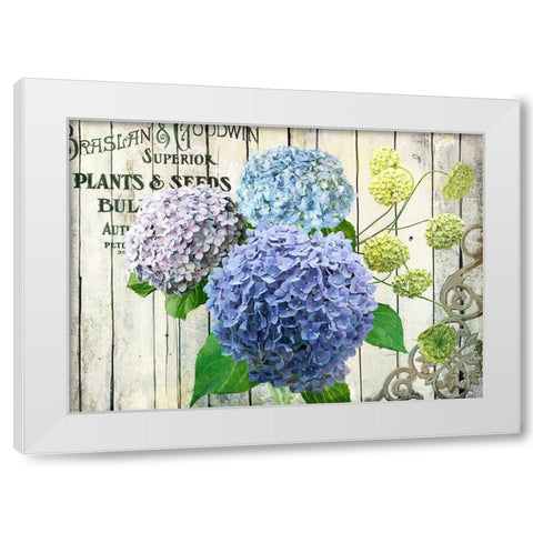Farm Seed Hydrangeas White Modern Wood Framed Art Print by Art Licensing Studio