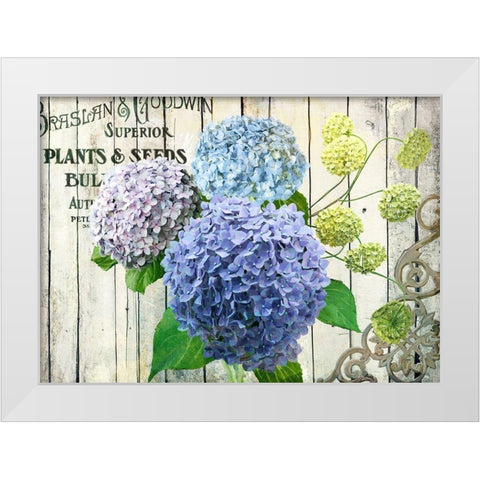 Farm Seed Hydrangeas White Modern Wood Framed Art Print by Art Licensing Studio