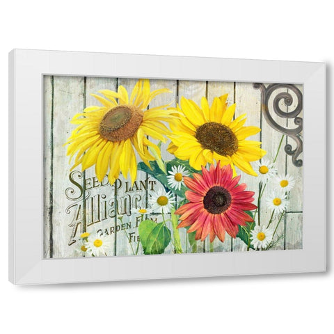 Farm Seed Sunflowers White Modern Wood Framed Art Print by Art Licensing Studio