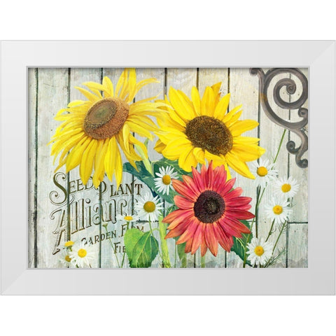 Farm Seed Sunflowers White Modern Wood Framed Art Print by Art Licensing Studio