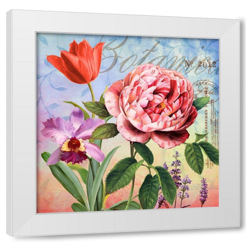 Botanique with Rose White Modern Wood Framed Art Print by Art Licensing Studio