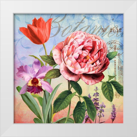 Botanique with Rose White Modern Wood Framed Art Print by Art Licensing Studio