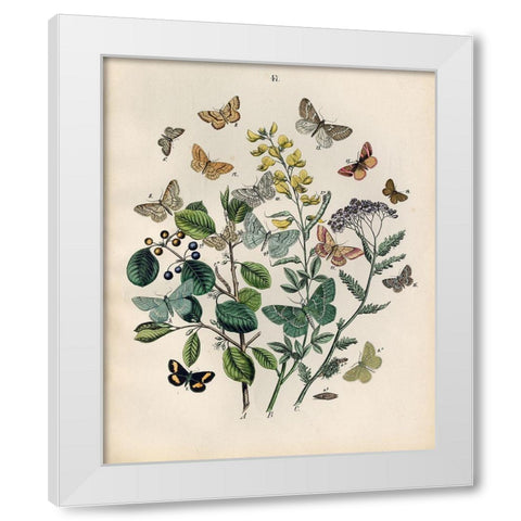 Papillion - Butterflies White Modern Wood Framed Art Print by Art Licensing Studio