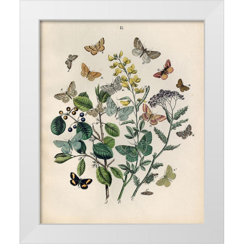Papillion - Butterflies White Modern Wood Framed Art Print by Art Licensing Studio