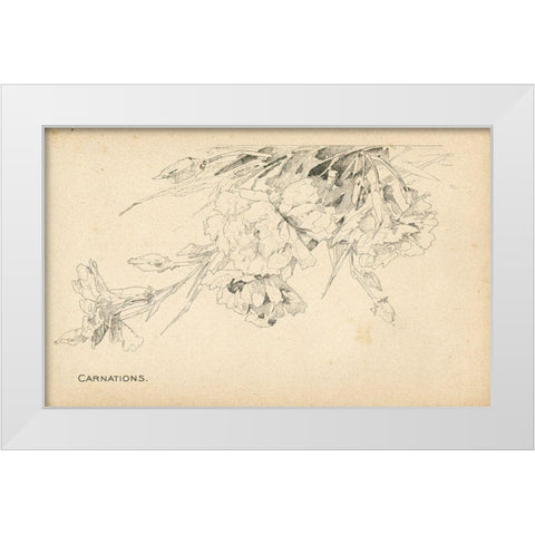 Carnations White Modern Wood Framed Art Print by Art Licensing Studio