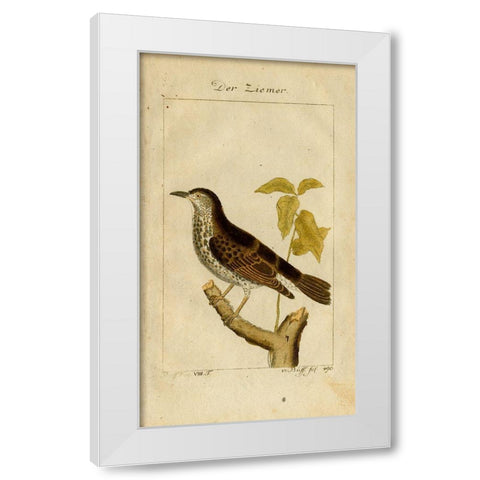 Der Ziemer White Modern Wood Framed Art Print by Art Licensing Studio