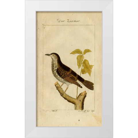 Der Ziemer White Modern Wood Framed Art Print by Art Licensing Studio