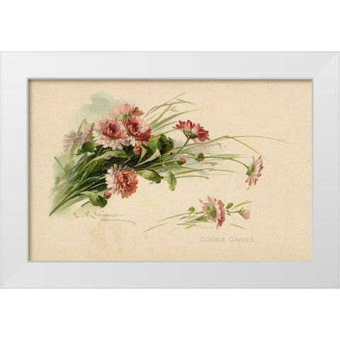 Double Daisies Color White Modern Wood Framed Art Print by Art Licensing Studio