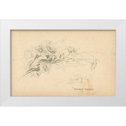 Double Daisies White Modern Wood Framed Art Print by Art Licensing Studio