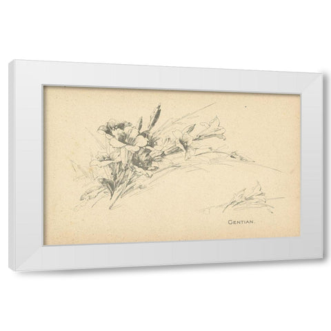Gentian White Modern Wood Framed Art Print by Art Licensing Studio