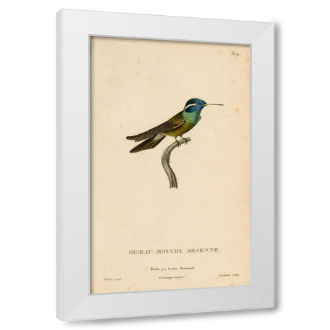 Oiseau-Mouche Arsenne White Modern Wood Framed Art Print by Art Licensing Studio