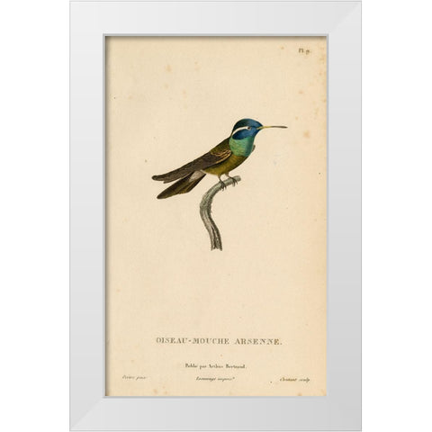 Oiseau-Mouche Arsenne White Modern Wood Framed Art Print by Art Licensing Studio